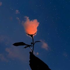 اللهم أني شاعرة فدلّني… بقلم: إسراء إسماعيل