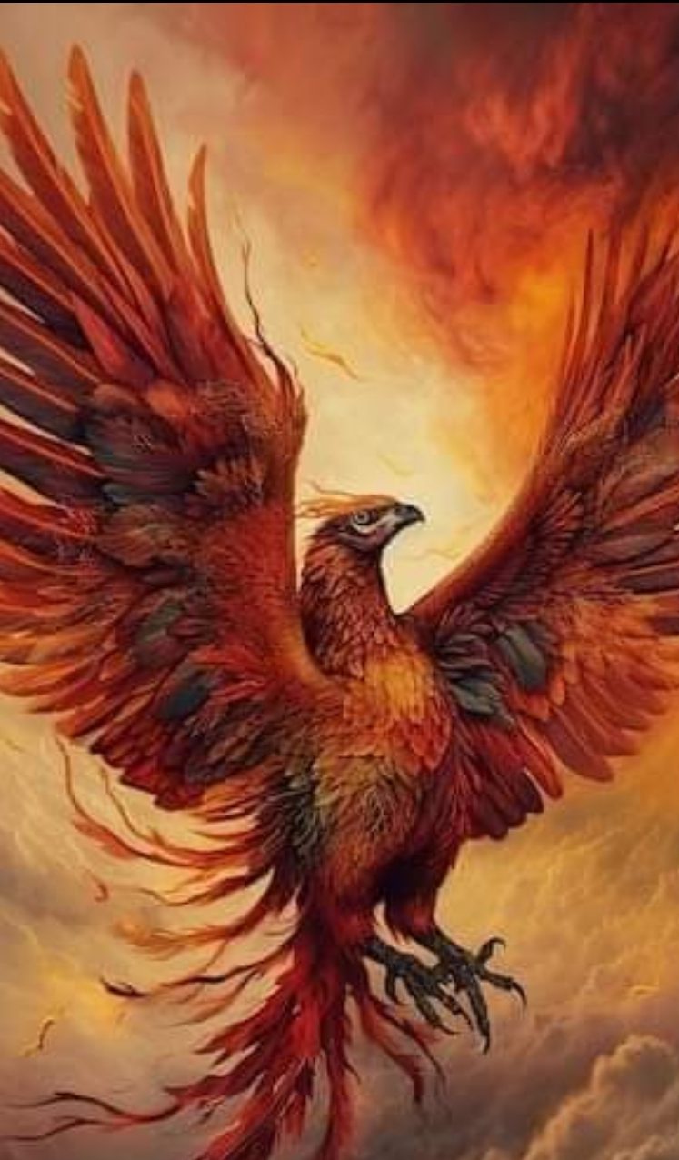 كيف يُلملم القرطاس كلّ تلك الهواجس؟      شعر: أحمد نجم الدين