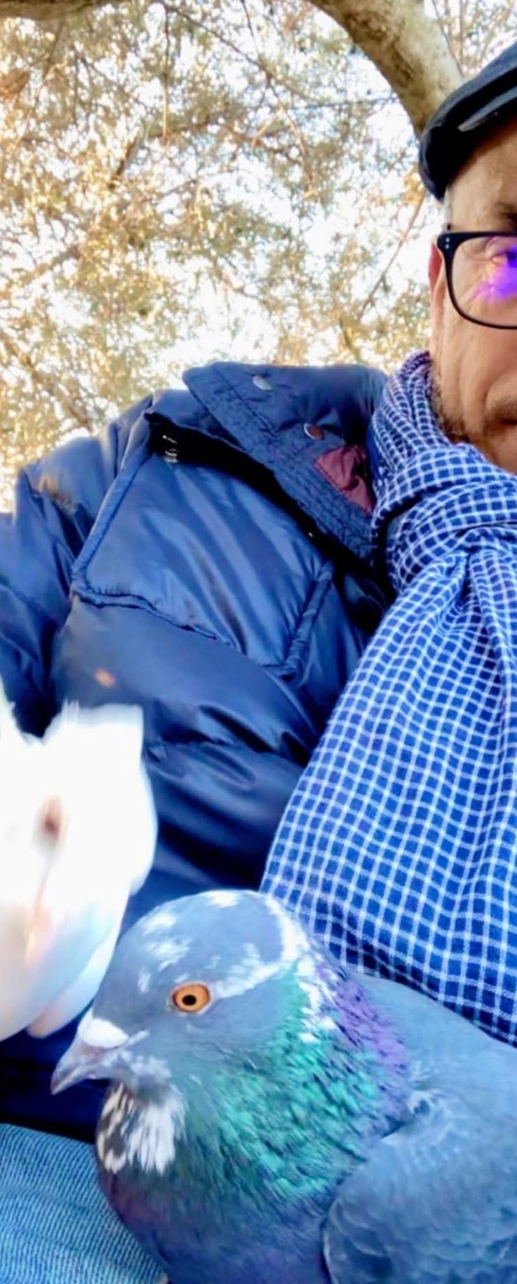 نحن نكبر حين ….  شعر: الشيخ محمد بن حمودة