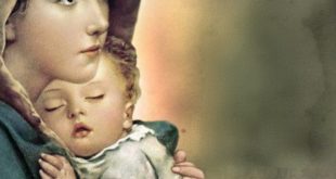 ولادة النور في زمنٍ خفت فيه النور       بقلم: نضال حسن شهاب